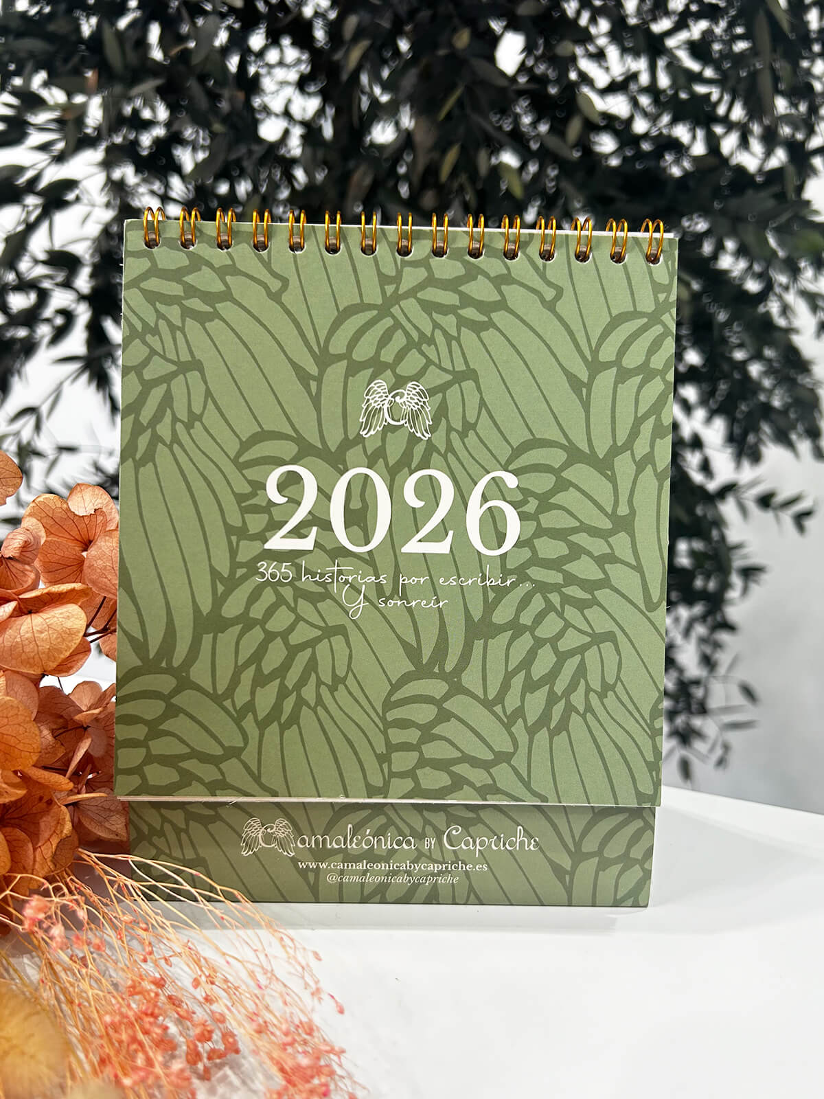 CALENDARIO CAMALEÓNICA 2026