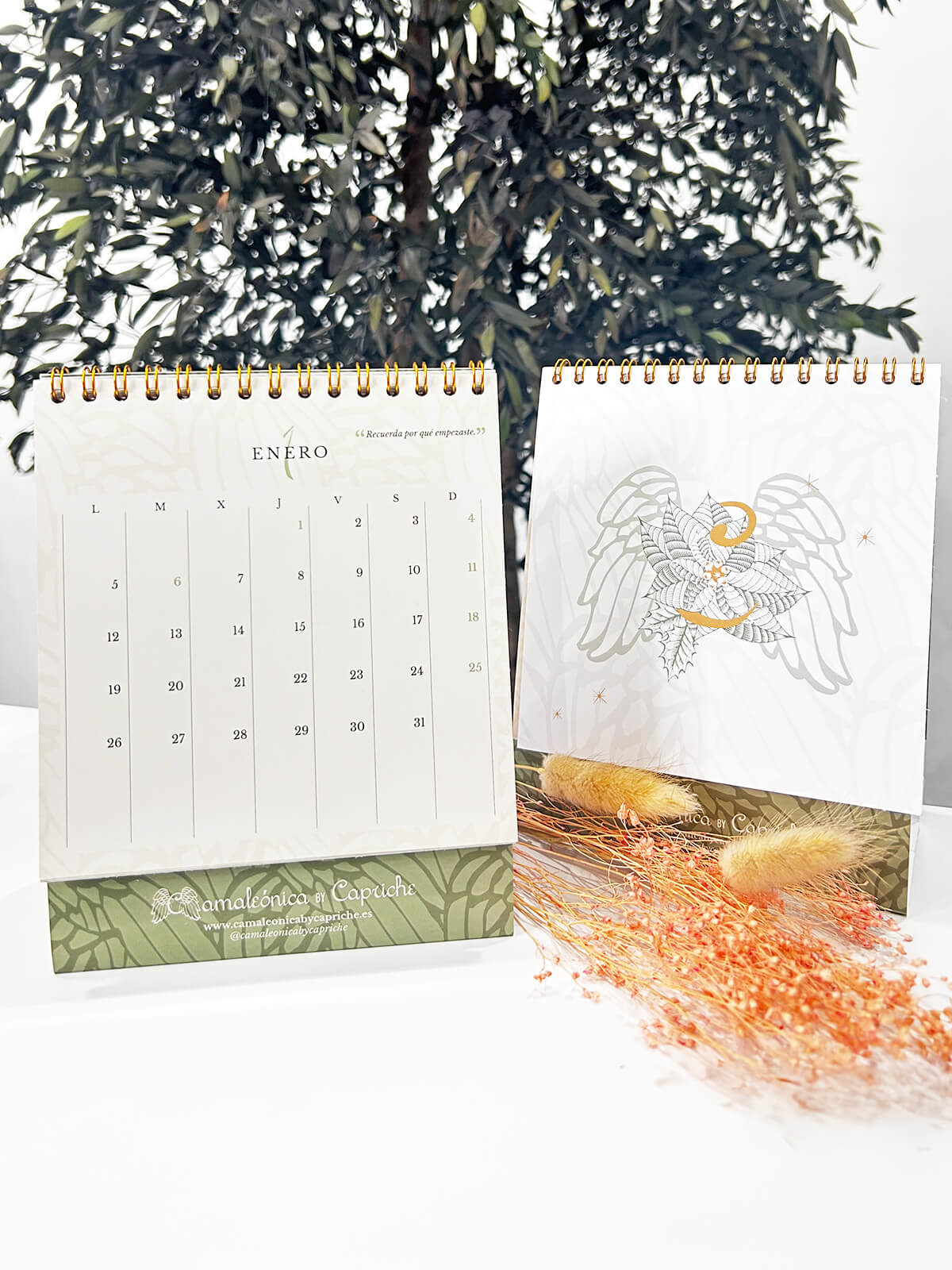 CALENDARIO CAMALEÓNICA 2026