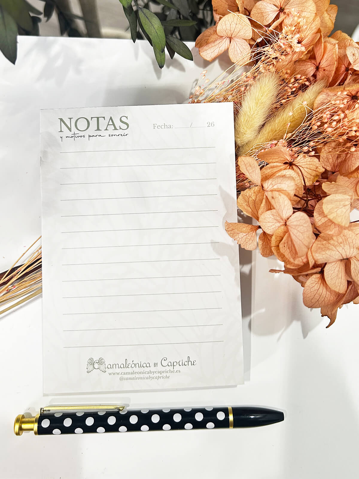 BLOC DE NOTAS CAMALEÓNICA